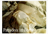 2009 - Ceramic Review, UK. “Paradox in Form”, by Vivian Goldstein.